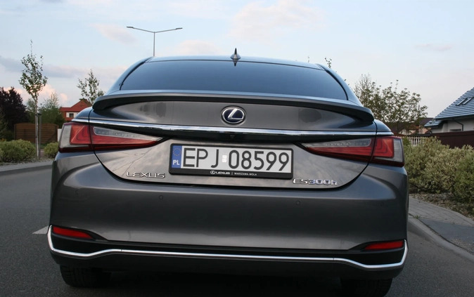 Lexus ES cena 180000 przebieg: 28500, rok produkcji 2019 z Pajęczno małe 466